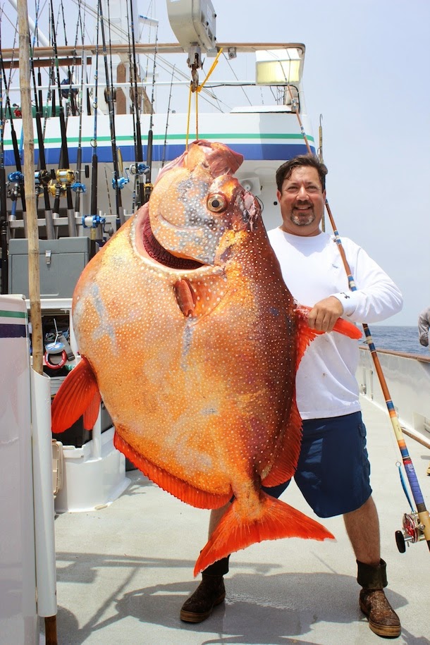 world record opah.jpg